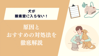 犬が酸素室に入らない！原因とおすすめの対処法について解説